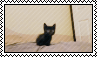 a black kitty